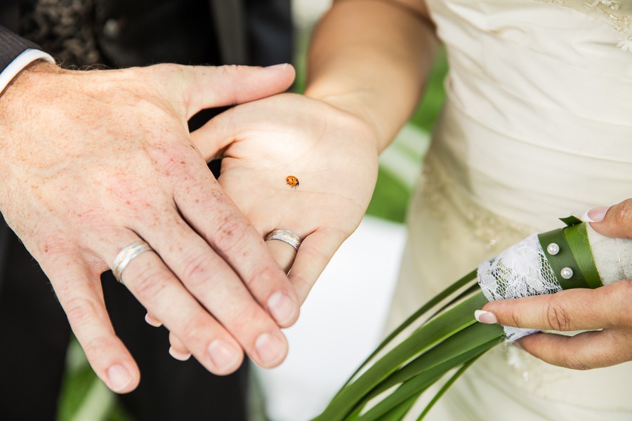 hochzeit, wedding, fotografie, schweiz, hegau